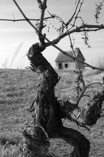 L'âme Touraine